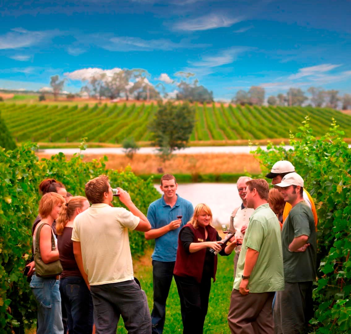 Geführte Tagestour mit Weinerlebnis im Yarra Valley 4