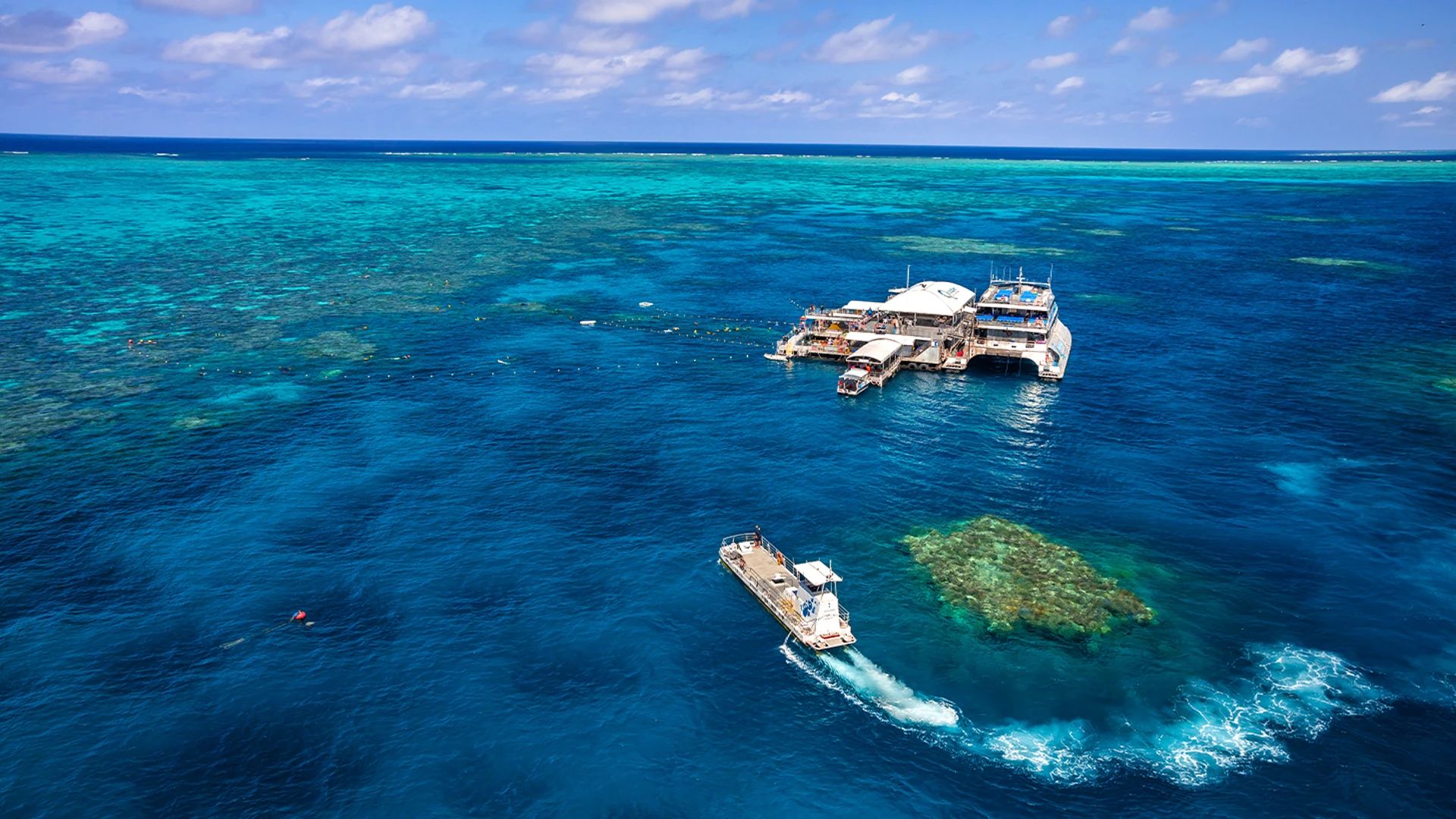 Full-Day Outer Barrier Reef Tour with Snorkelling Equipment & Tropical Lunch