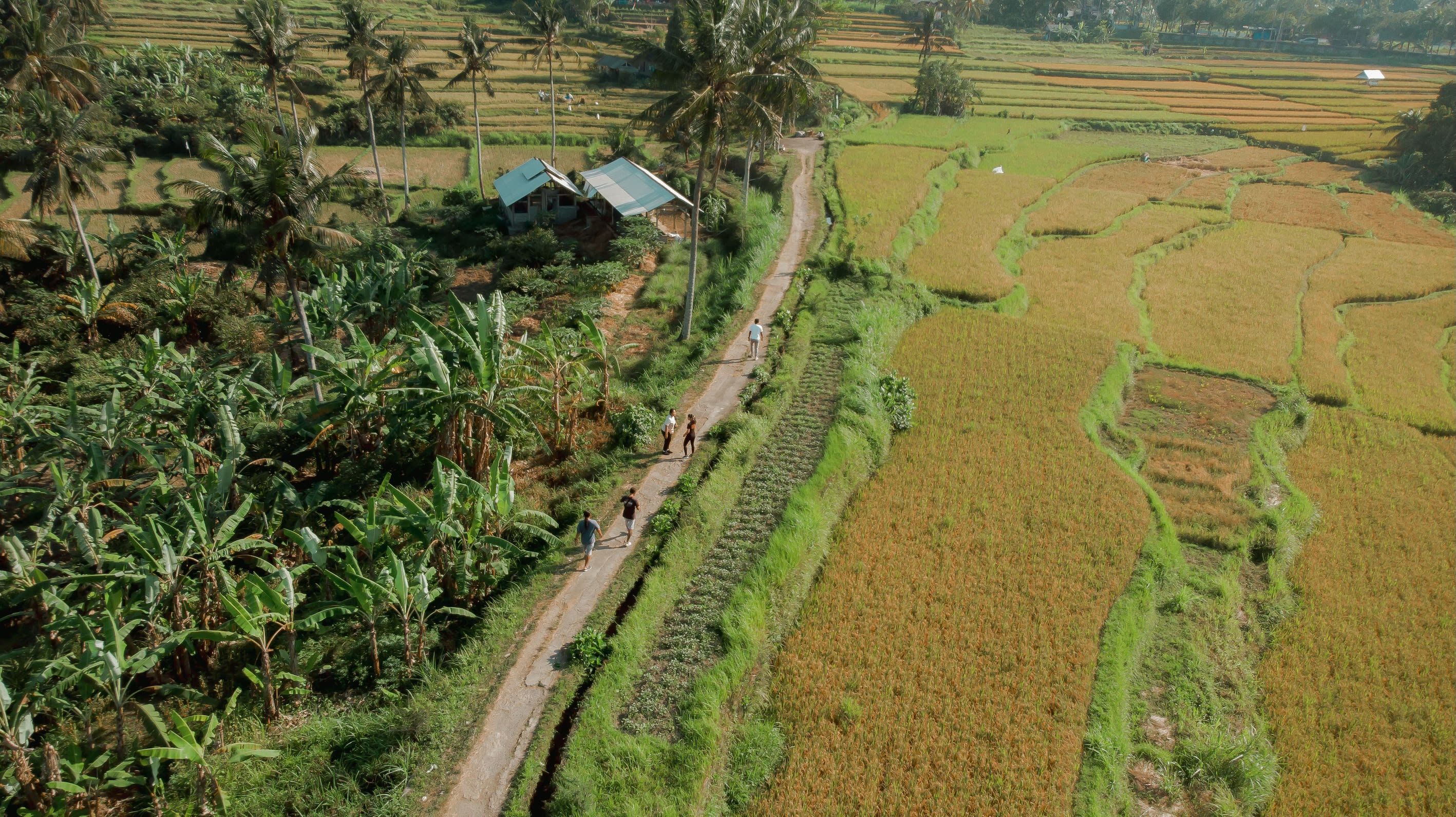 Bali Made Escape Full-Day Private Trekking Tour