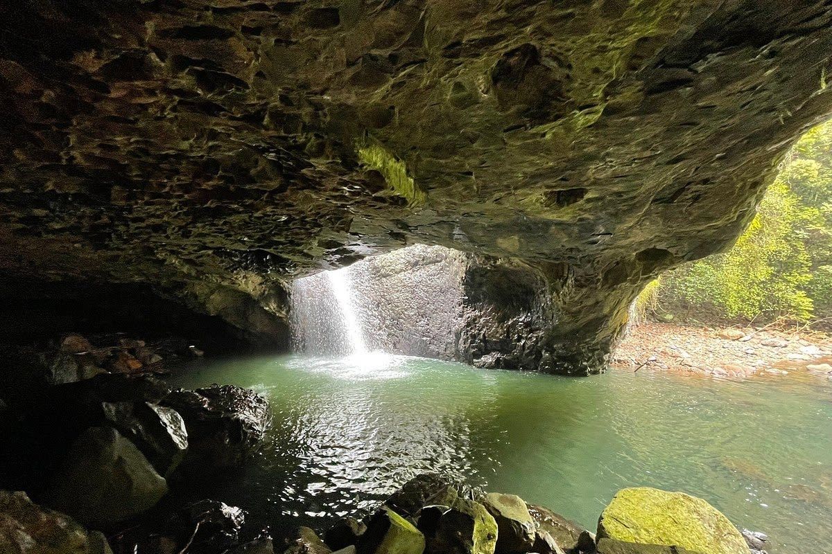 Natural Bridge & Mt Tamborine Glow Worms & Rainforest  from Brisbane