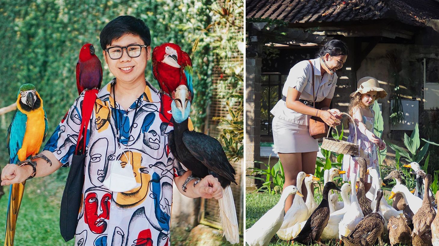 Half-Day Bali Bird Park Experience with Private Return Transfers 2