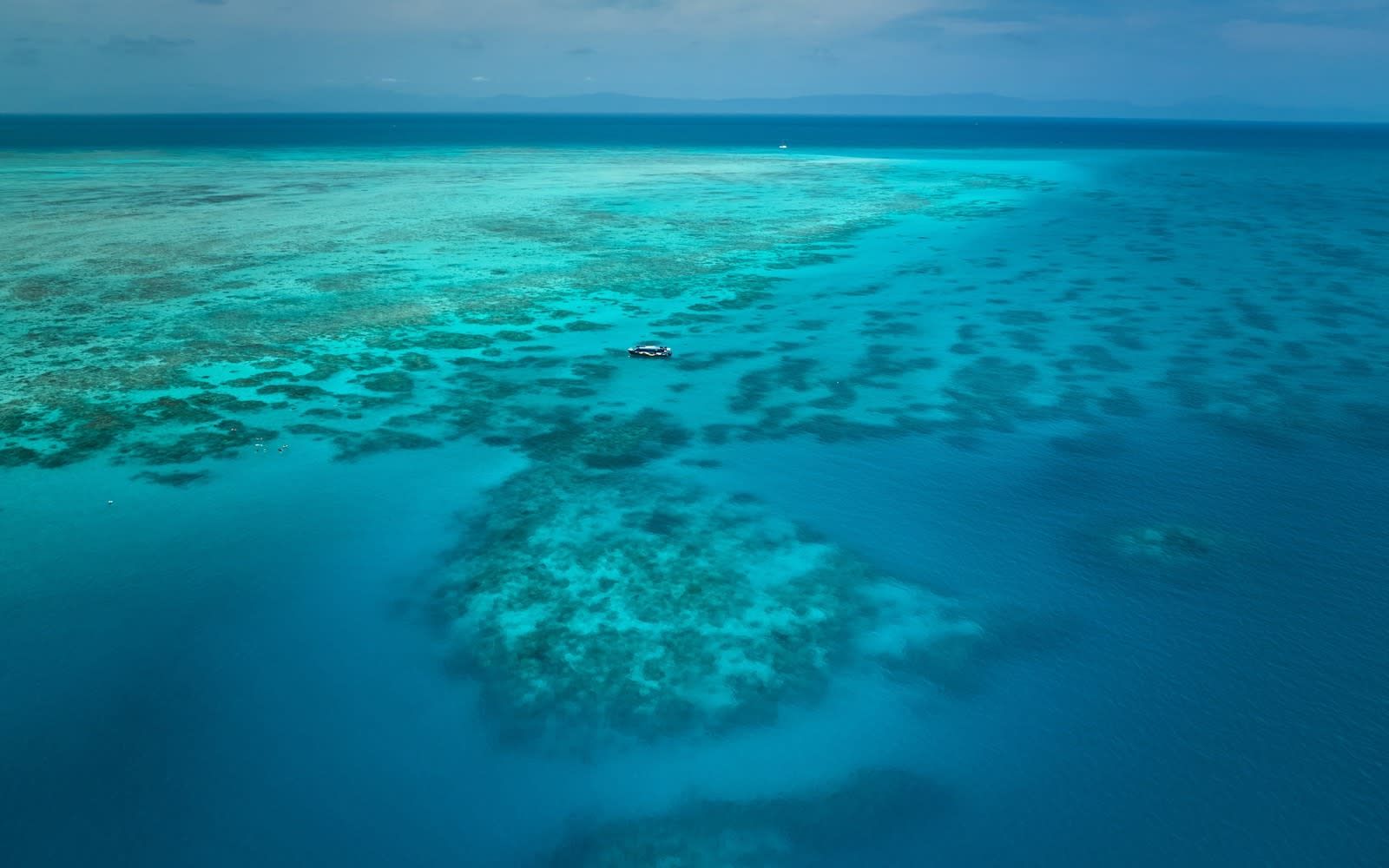 Halbtägiges Riffabenteuer zum Upolu Reef 3