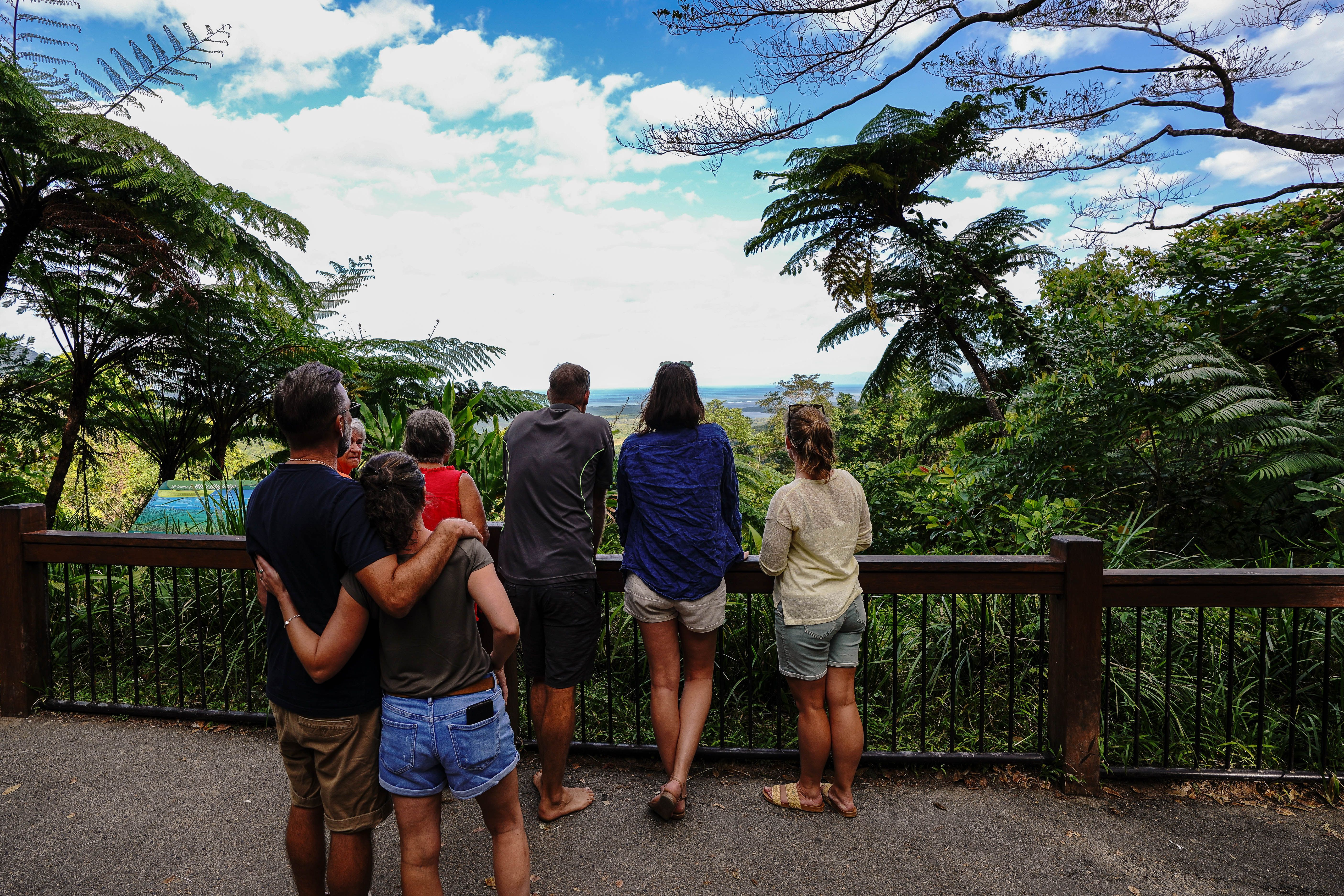Full-Day Total Daintree Experience with Morning Tea, Lunch & Return Port Douglas Transfers 5