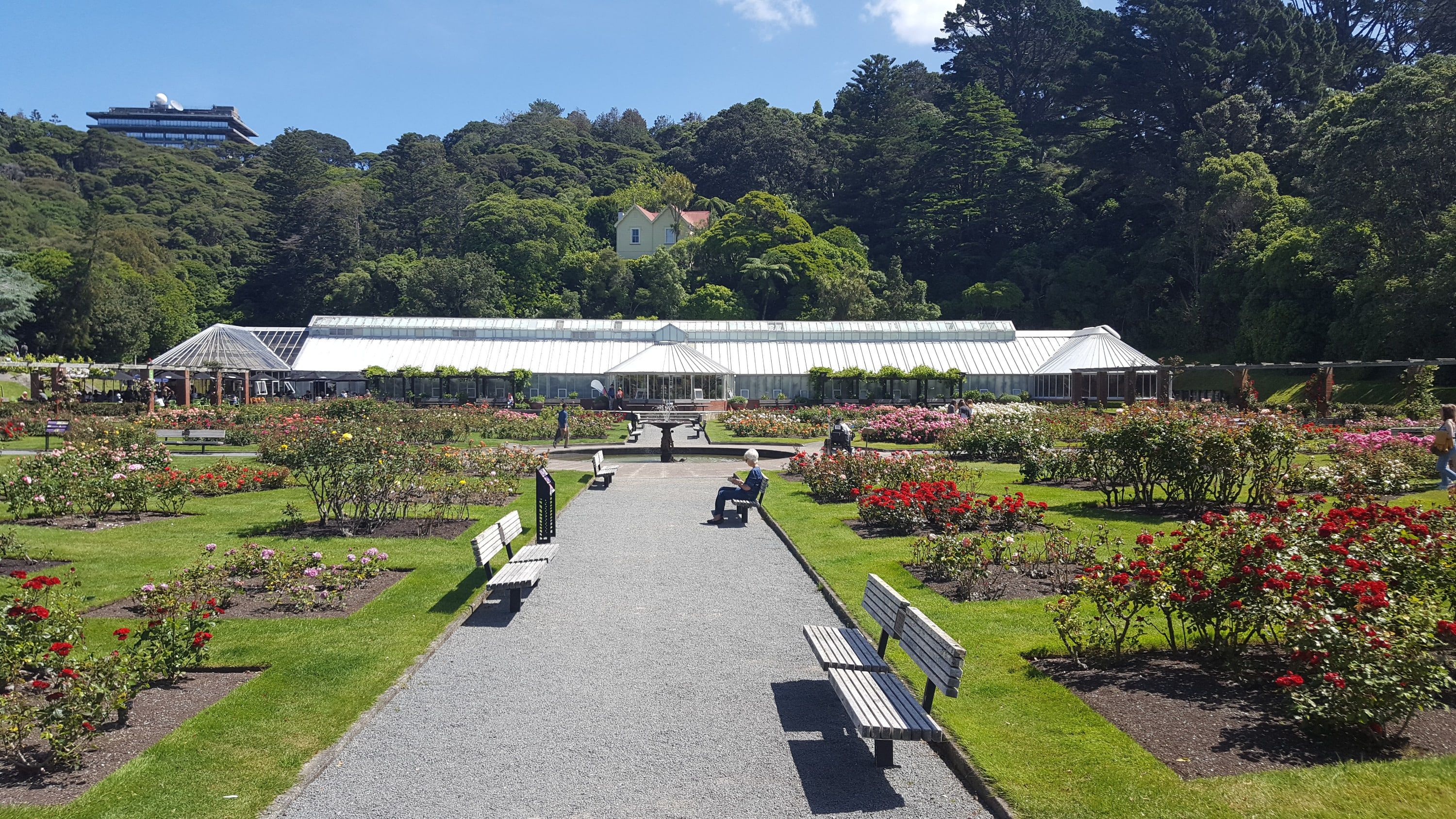 Wellington Half-Day City & Coastal Sightseeing Tour 6