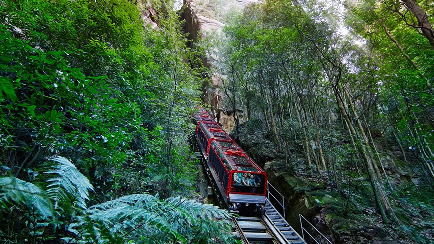 Full-Day Blue Mountains Tour with Sydney Zoo, Lunch, Scenic World Pass, Three Sisters & More