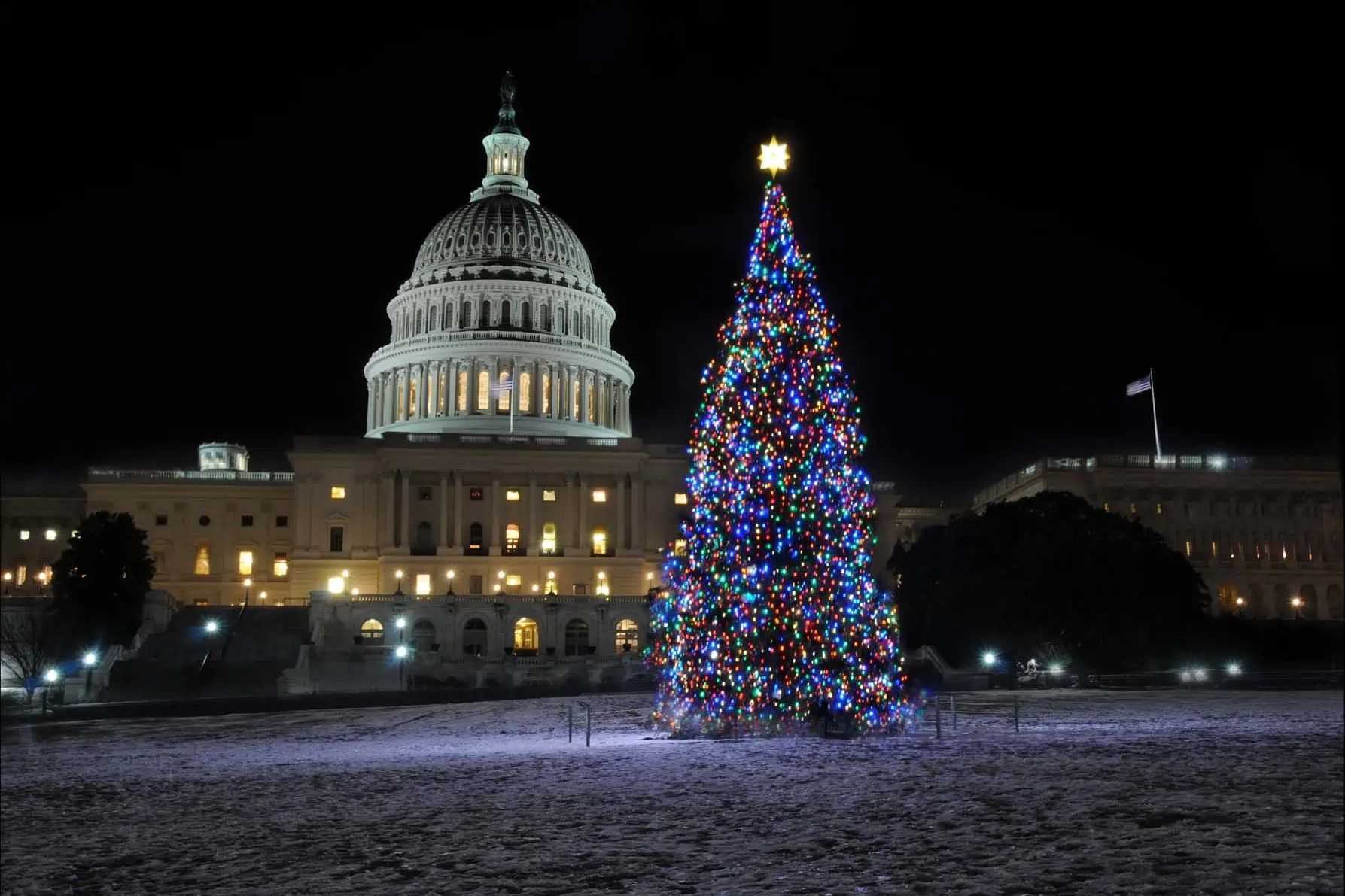 Washington DC Holiday Lights Tour