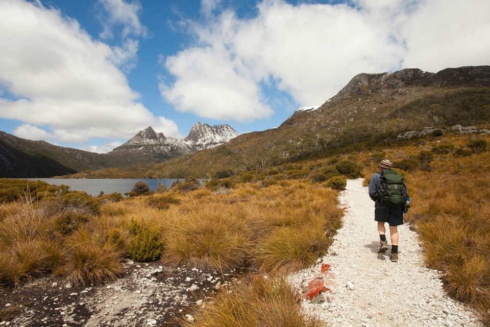Full-Day Cradle Mountain National Park Scenic Tour with Pick-Up and Drop-Off 7