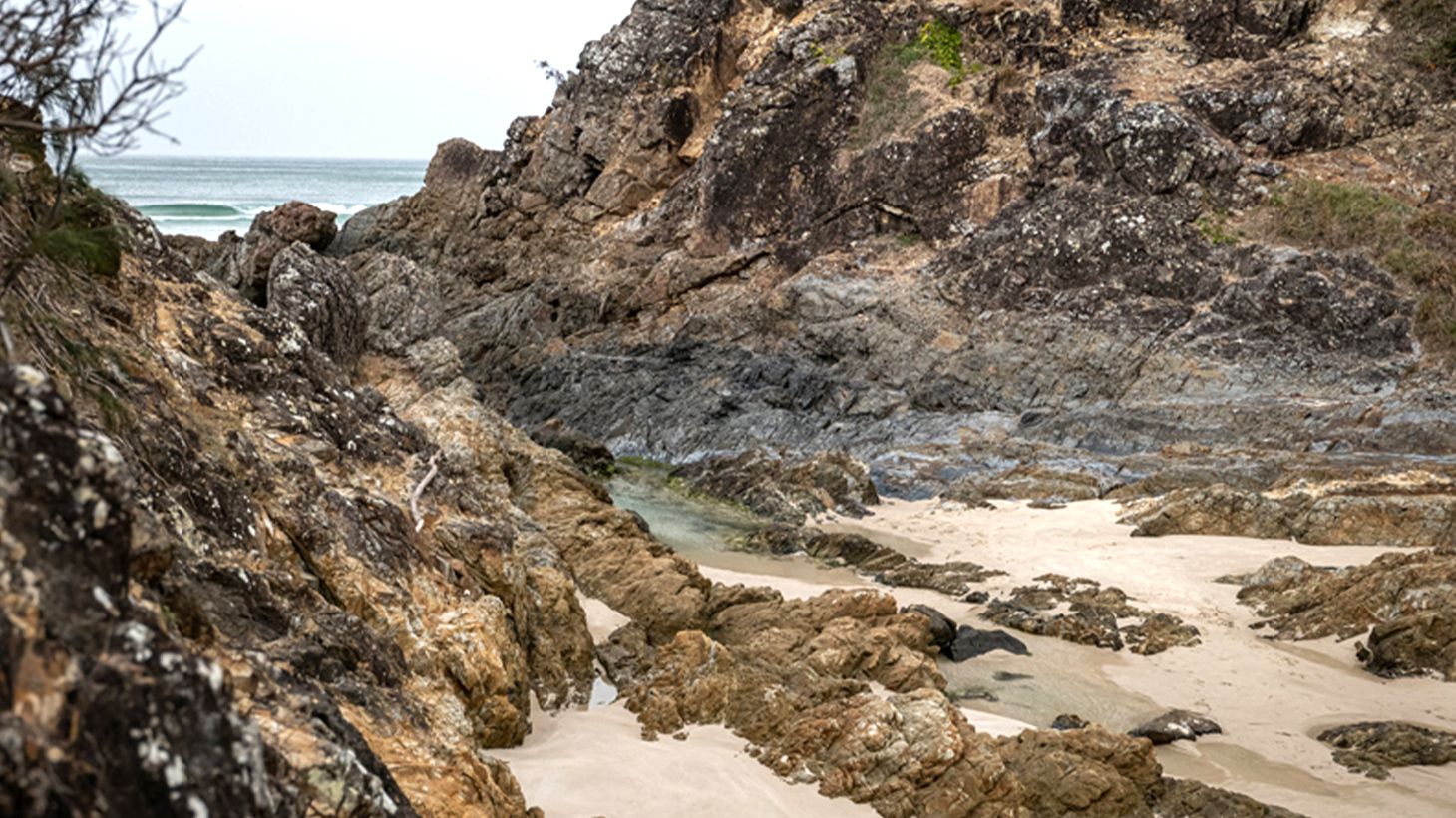 90-Minute Cape Byron Aboriginal Culture Guided Walking Tour with Bush Tucker Tasting 6