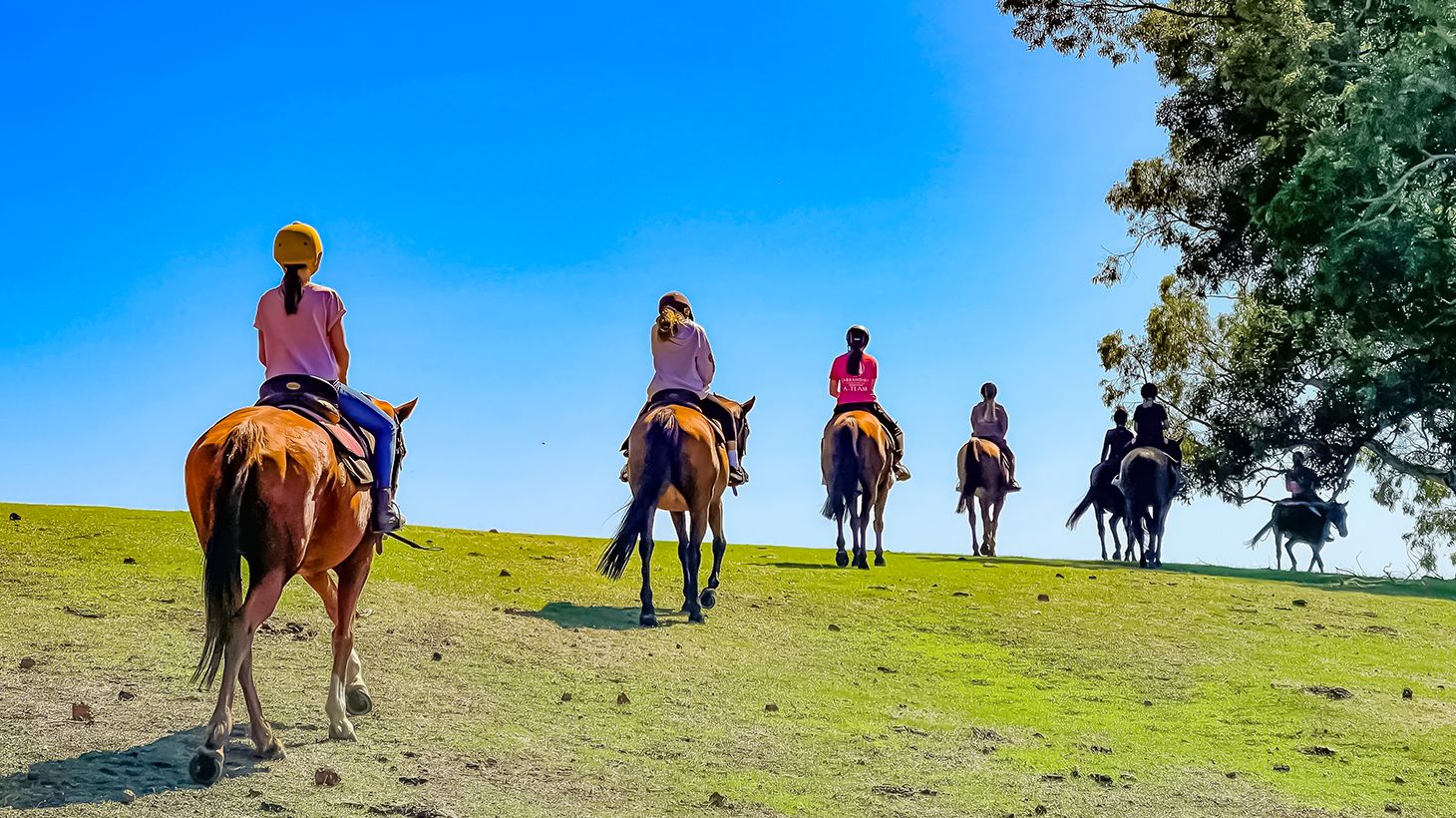 1.5-Hour Adventure Horse Ride with Grazing Platter & Glass of Wine in Jarrahdale 2