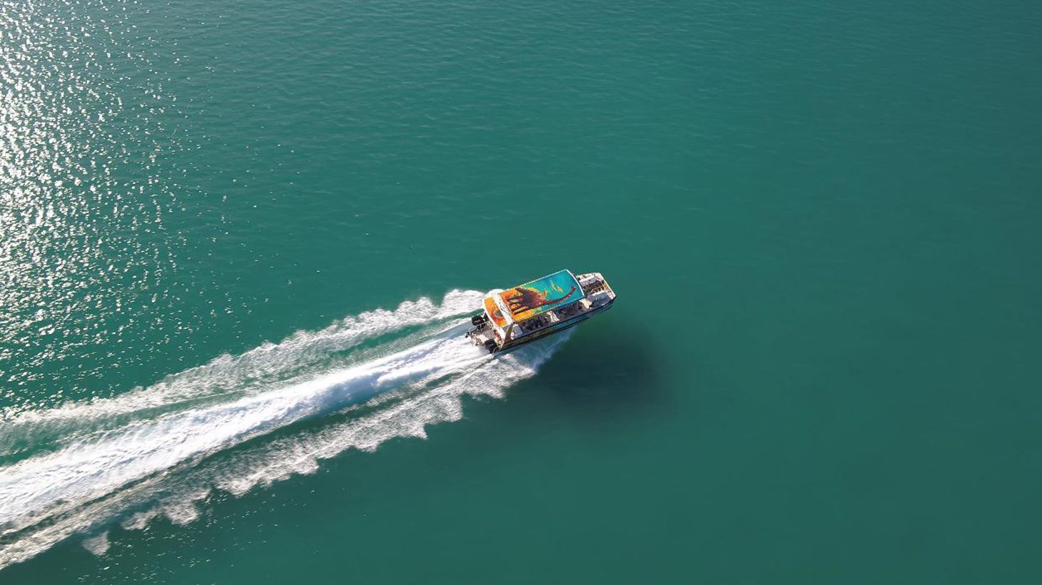 Four-Hour Eco Cruise with Sparkling Wine, Gourmet Platters & Return Transfers 3