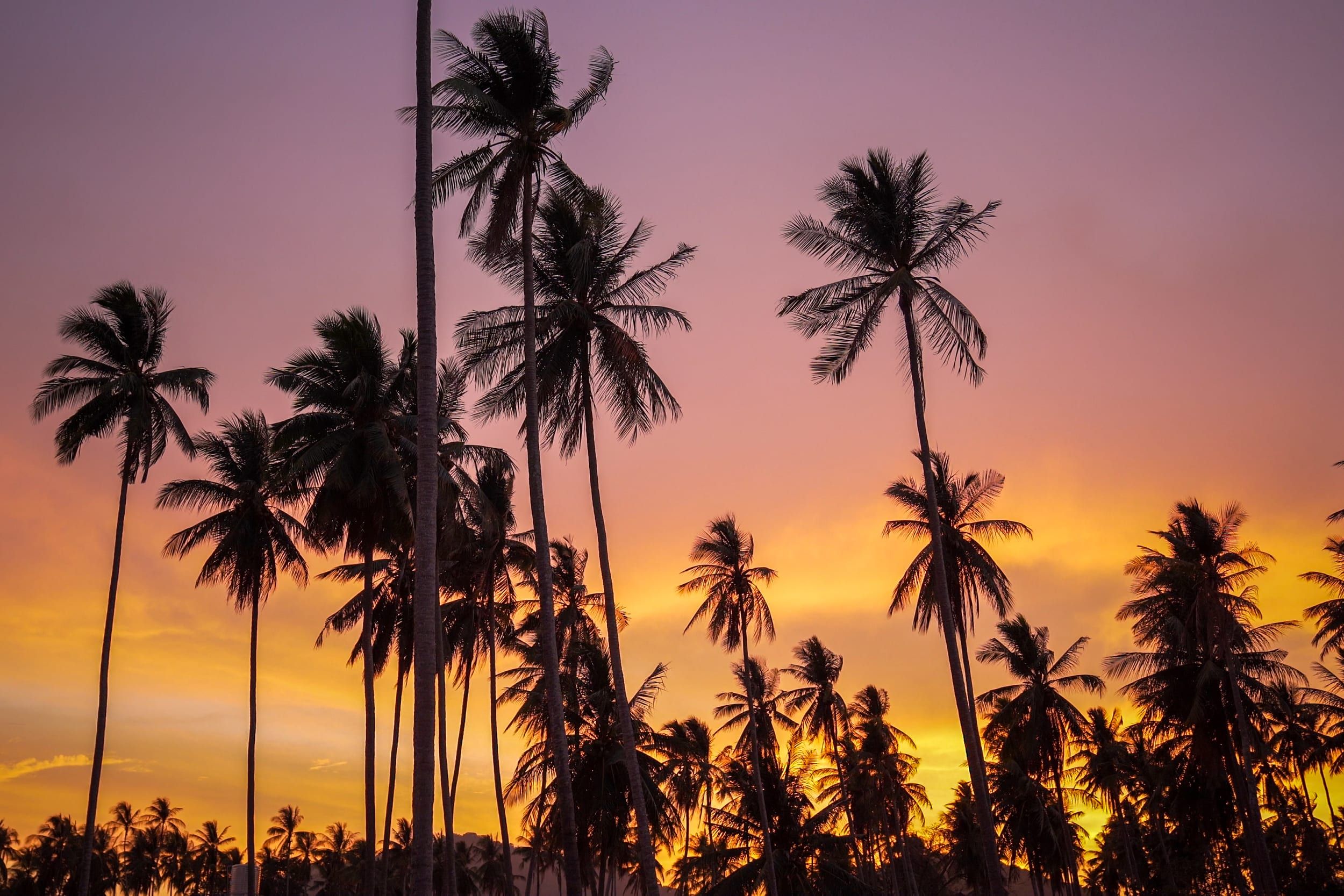 Phuket: Sunset Views and Seafood Market Dinner Guided Tour 4