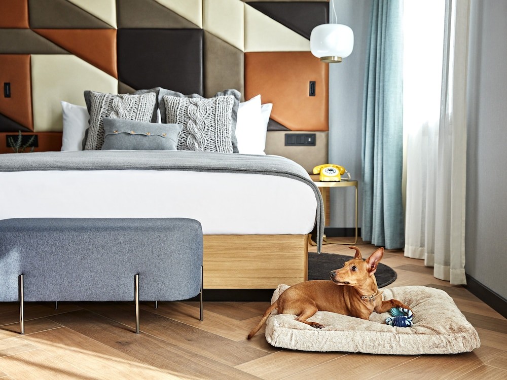 pet policy homestay