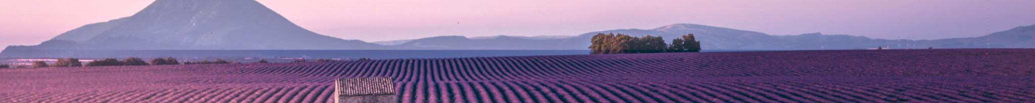 Fairways with a French Accent