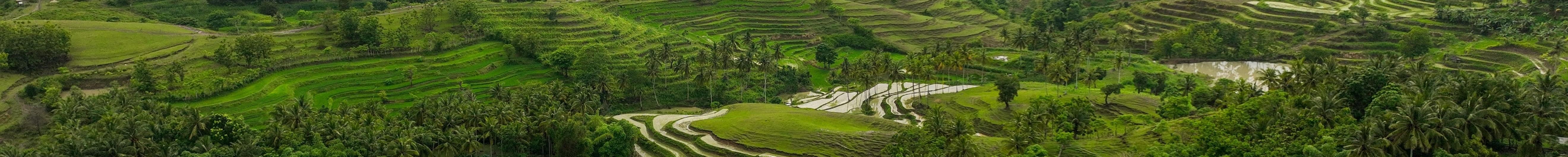 Stay in Lombok and explore the best of Indonesia