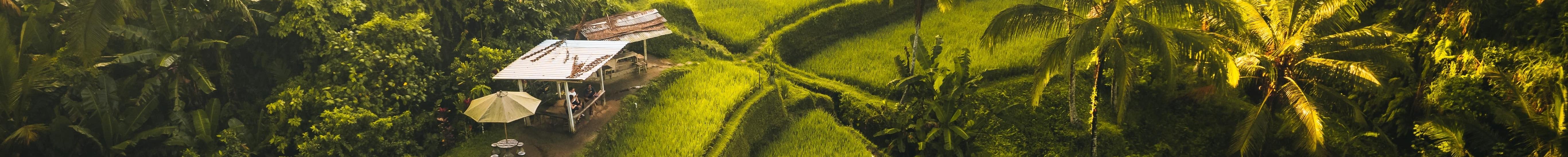 Stay in Ubud and discover the best of Bali