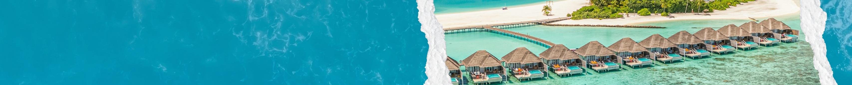 Take Me To The Tropics