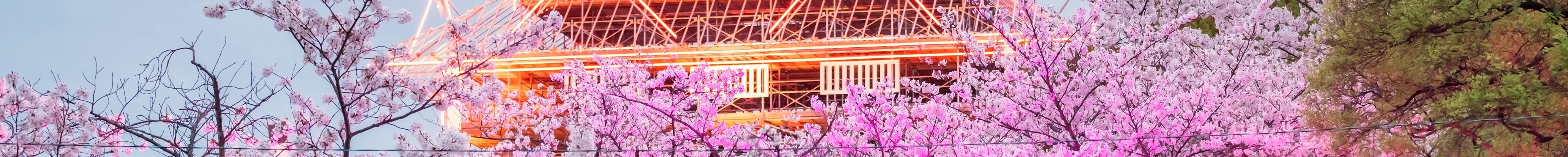 Stay in Fukuoka and experience the best of Japan