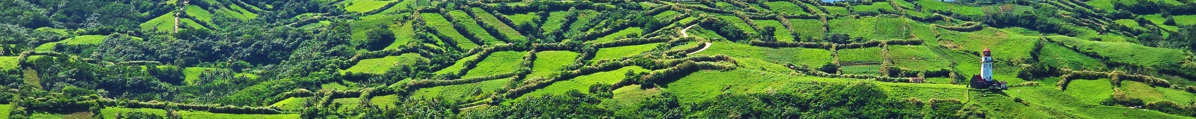 Stay in Batam and explore the best of Indonesia