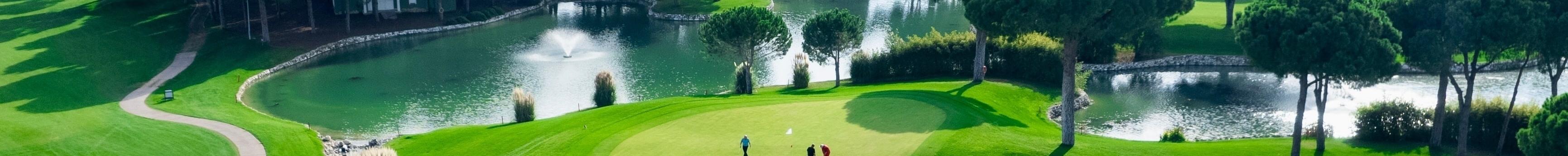 Our Hole-in-One Escapes