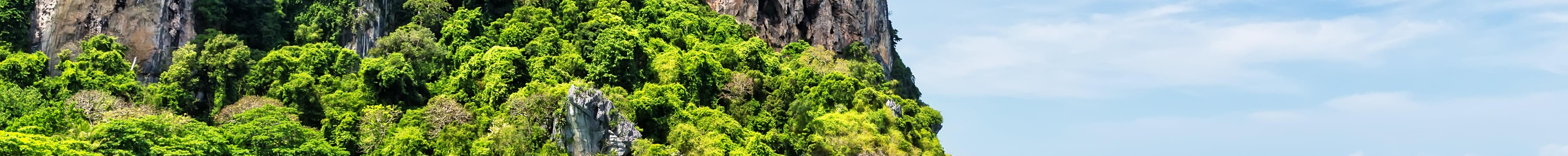 Stay in Krabi and experience the best of Thailand