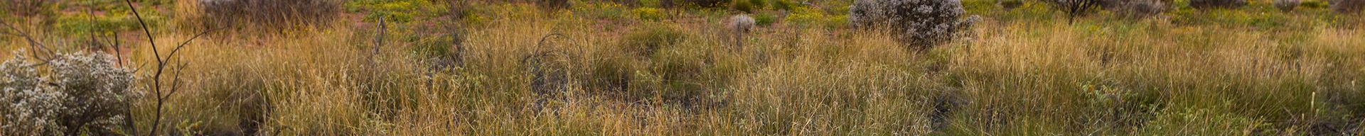 Luxury hotels in Australia