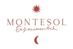 Montesol Experimental Ibiza logo