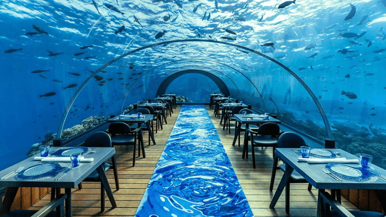 Chef's Kiss: The World's Best Hotel Restaurants