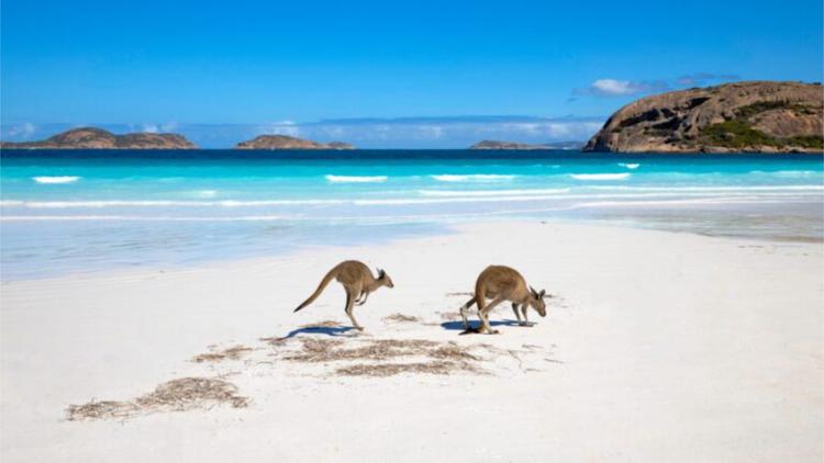 Destination Down Under: 10 Quintessential Australia Experiences  
