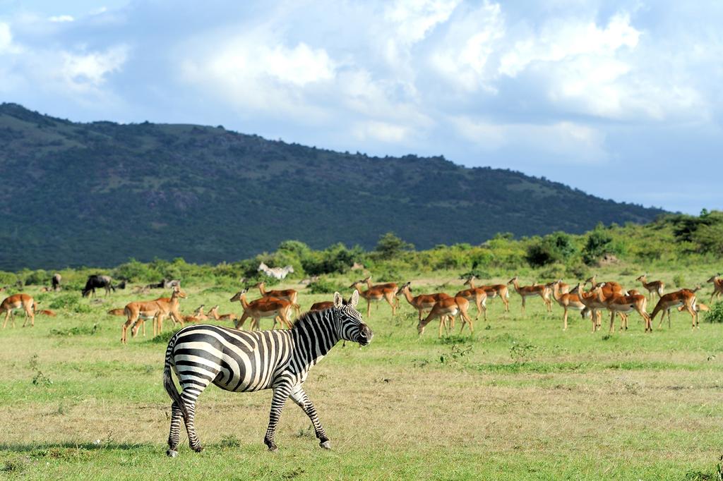 Maasai Mara