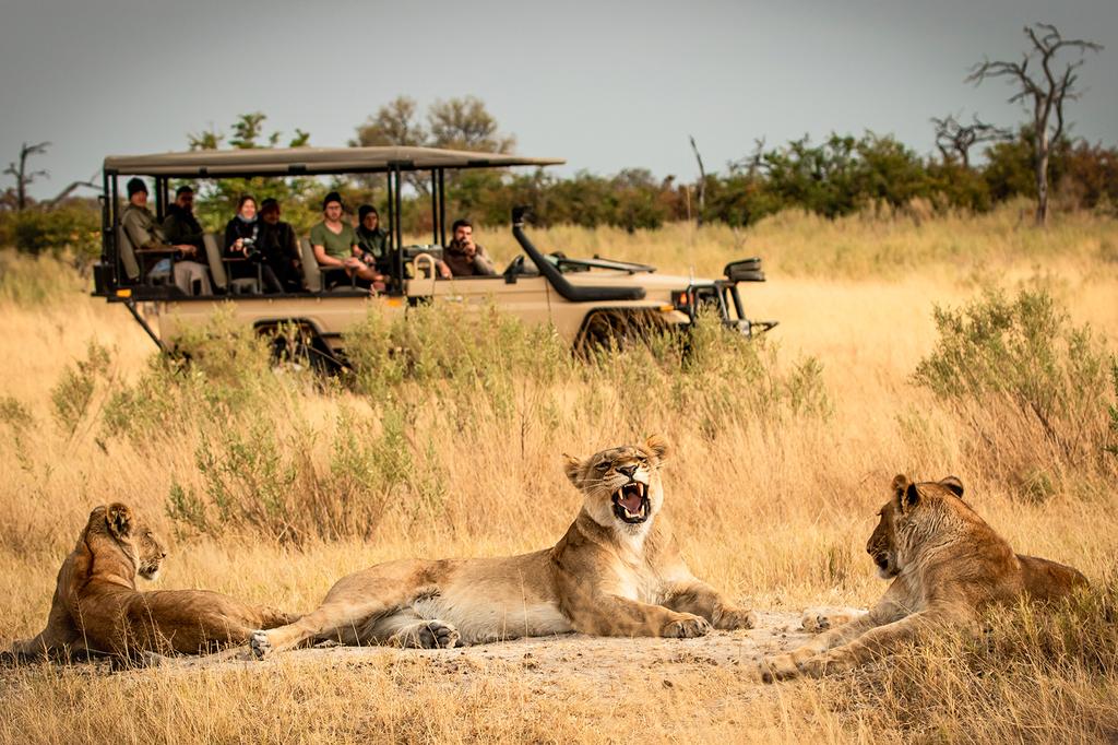 Okavango Delta, Botswana