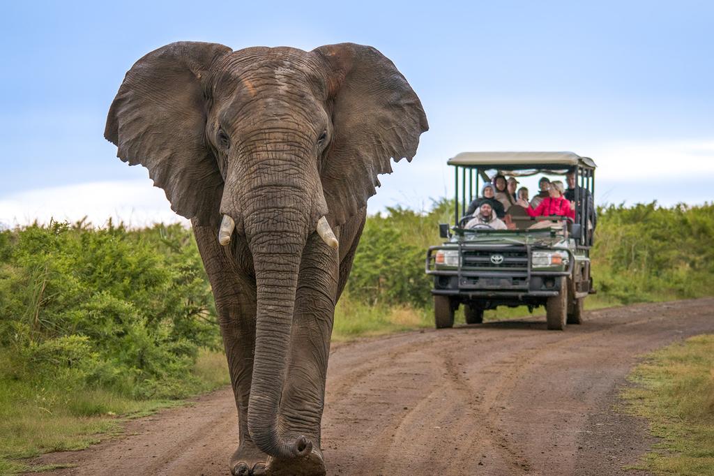 Chobe National Park, Botswana