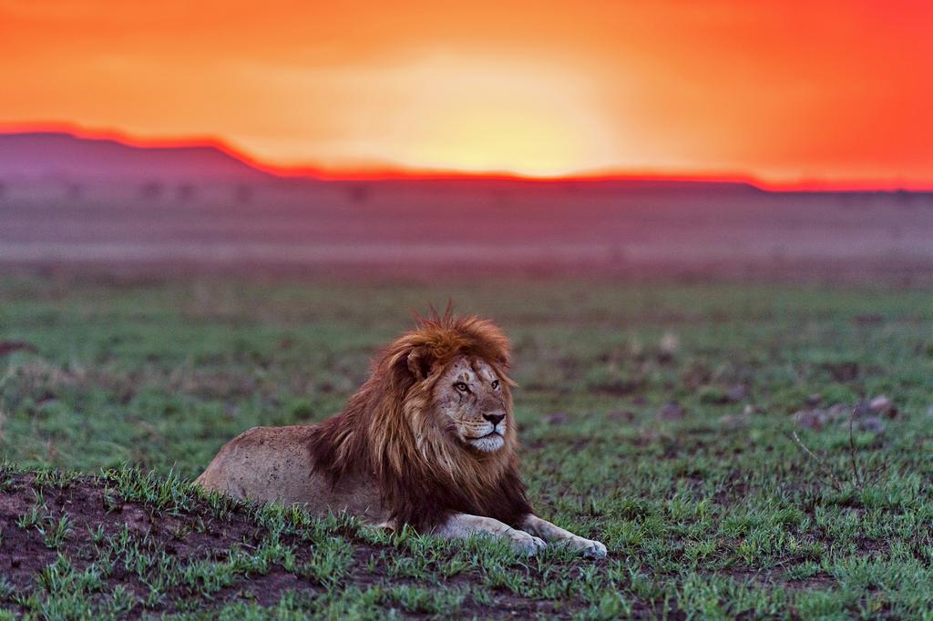 © Jason Edwards Photography