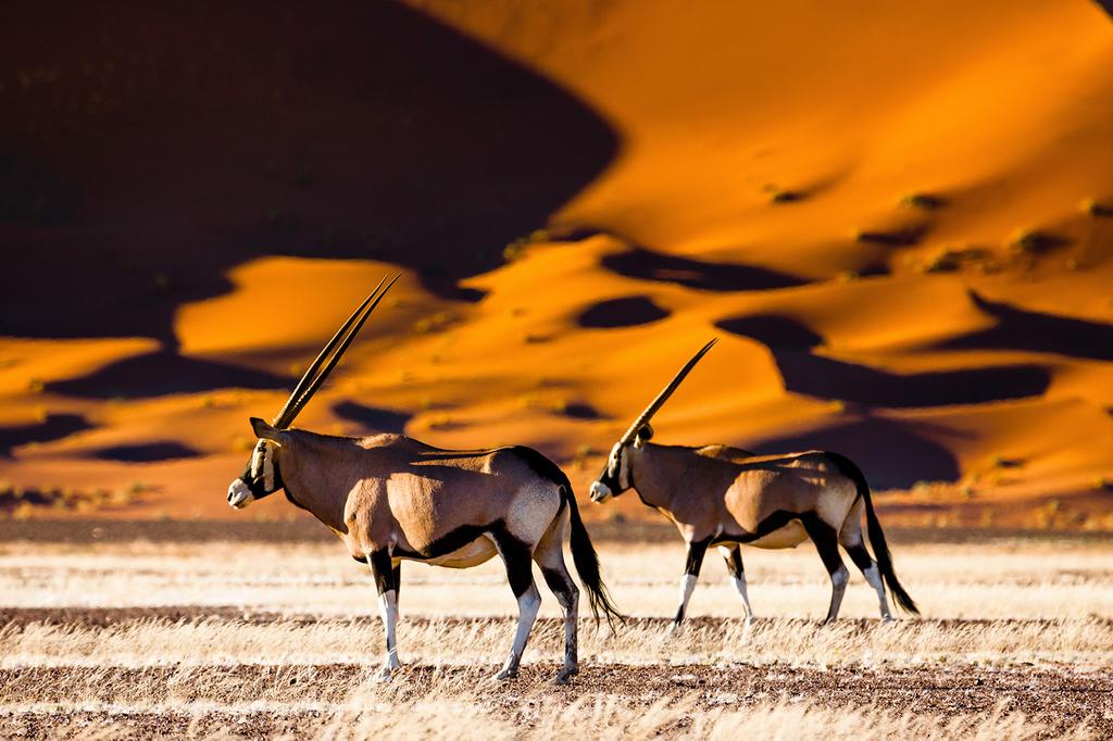Sesreim, Namibia
