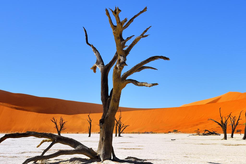 Sesreim, Namibia