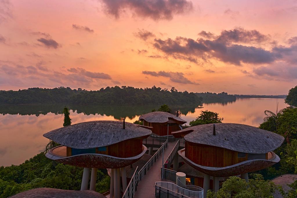 Eco-luxury sanctuary in Singapore's Mandai Wildlife Reserve at sunset.