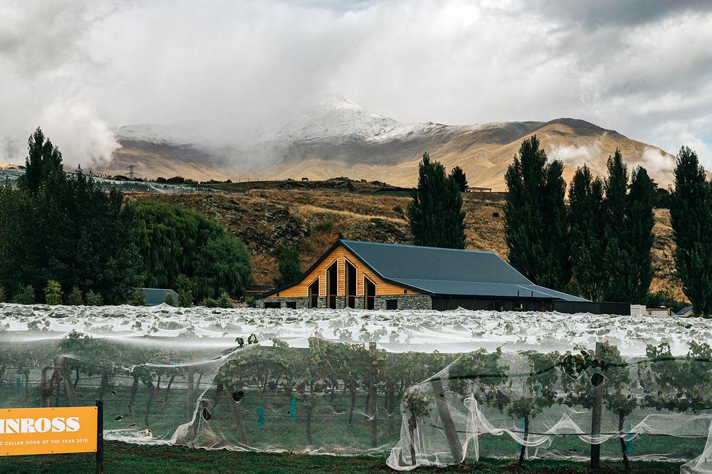 Working vineyard at Kinross Cottages with mountain backdrop in Central Otago.