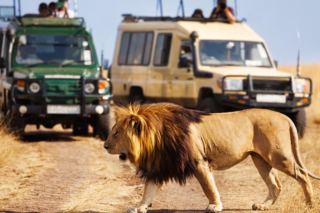 Maasai Mara