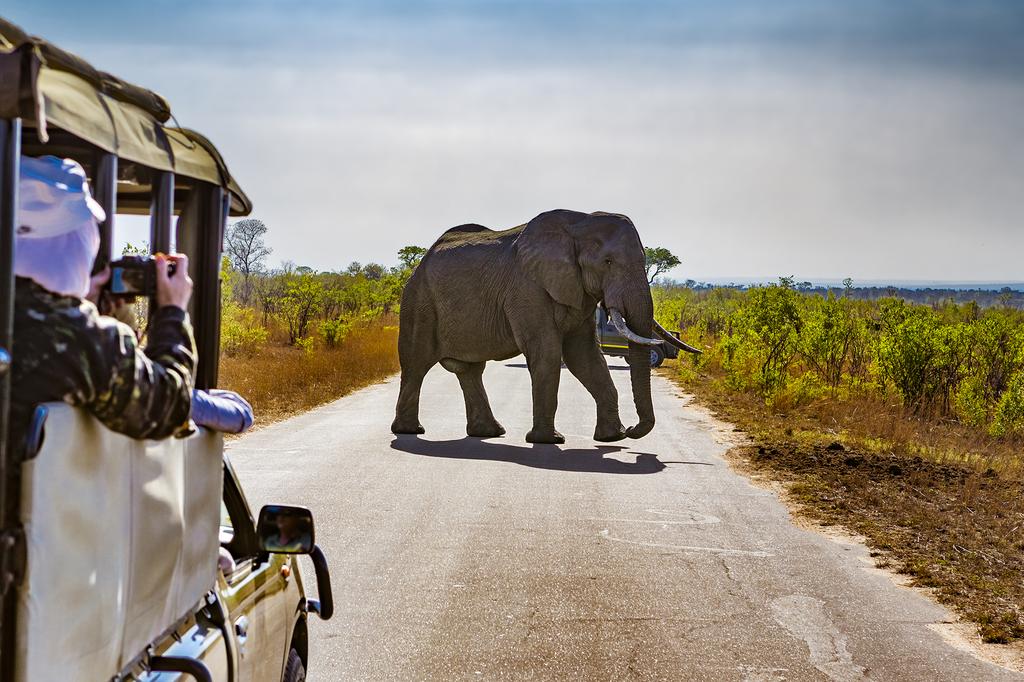 Kruger National Park