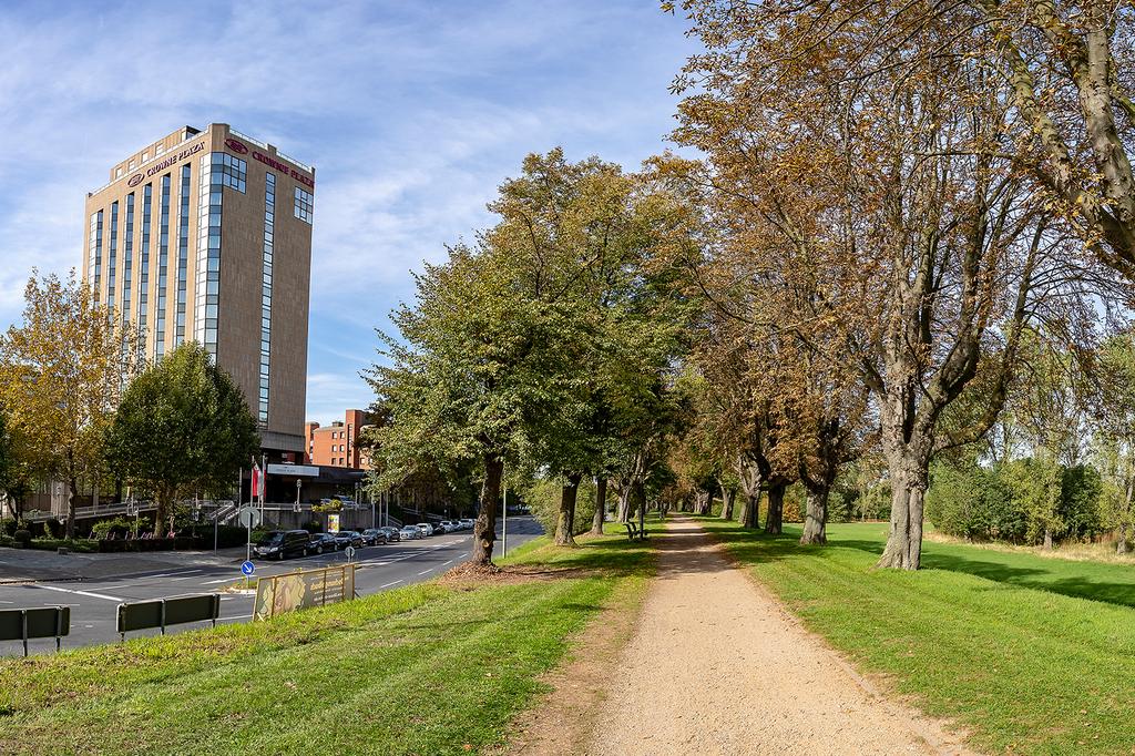 Crowne Plaza Dusseldorf with surrounding trees and Rhine River views.