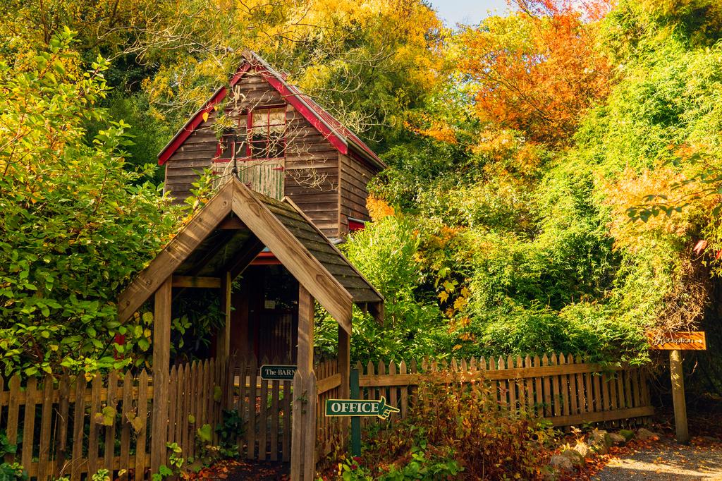 Charming rustic Arnica Views Luxury Retreat surrounded by lush greenery in Mount Dandenong.
