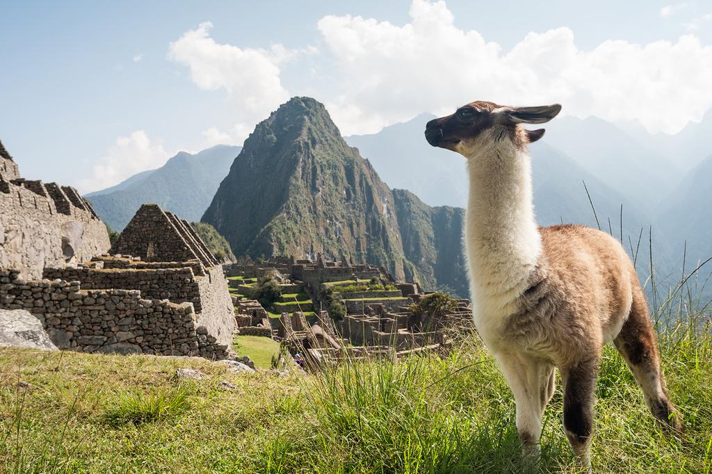 Machu Pichu, Peru