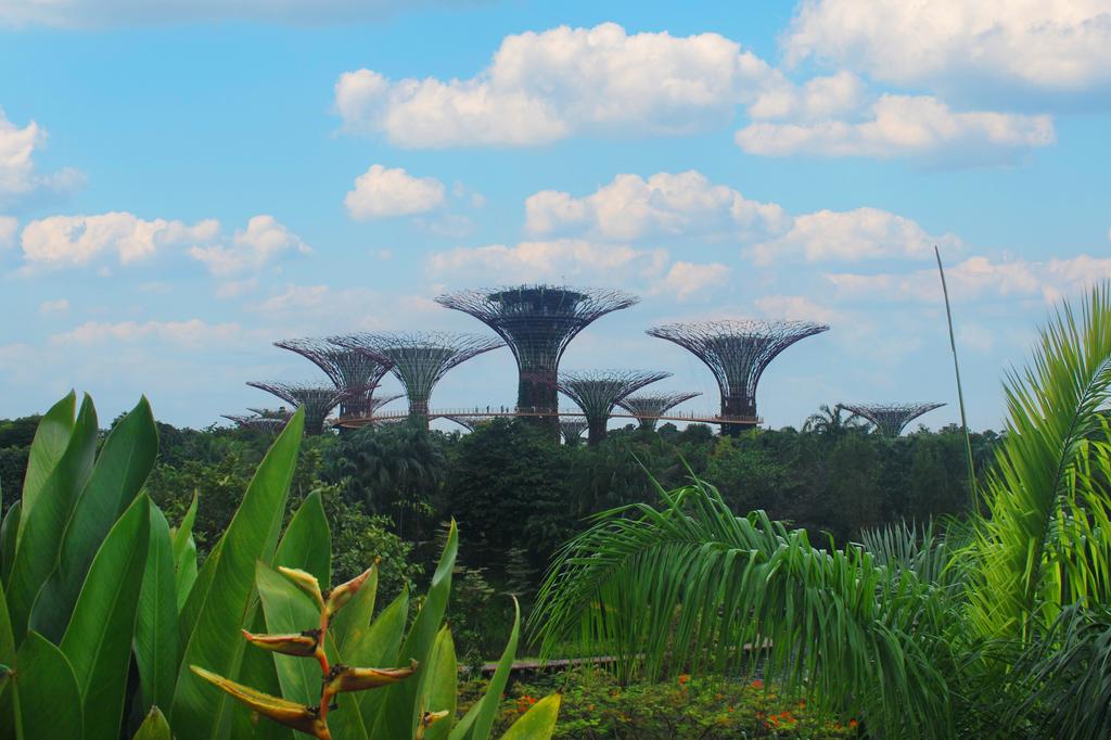 Gardens by the bay