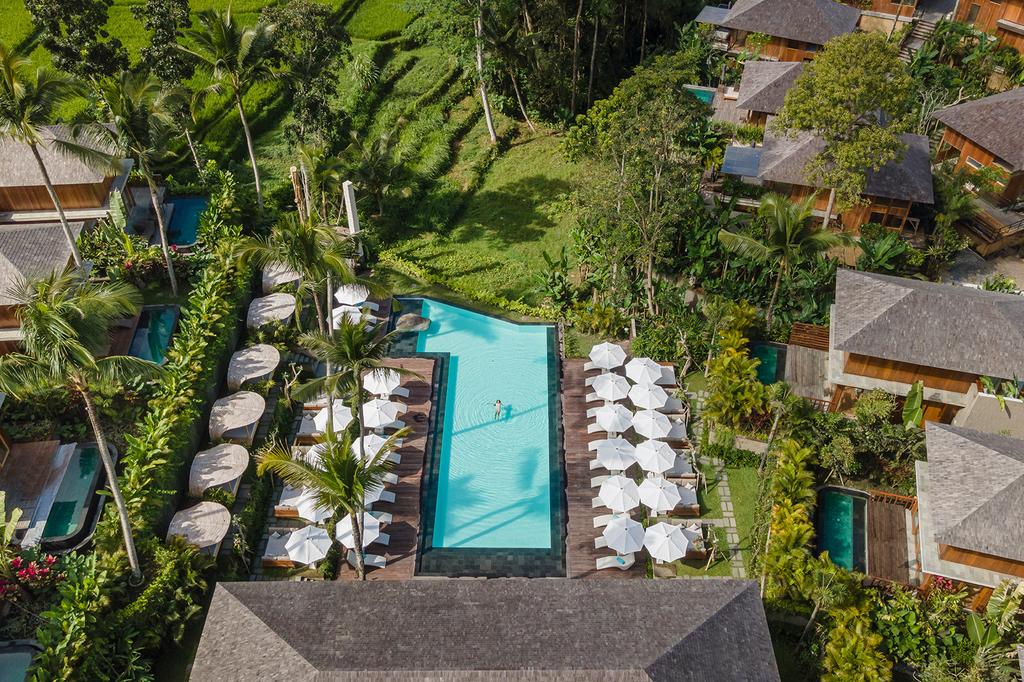 Luxurious jungle resort with a serene pool and lush surroundings.