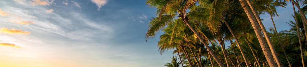 Luxury hotels in Palm Cove