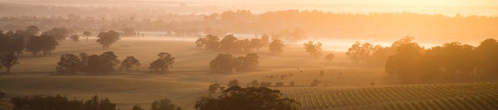 Luxury hotels in Hunter Valley