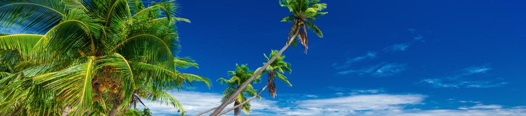 Luxury hotels in Fiji