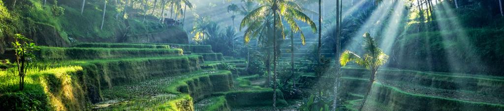 Luxury hotels in Bali