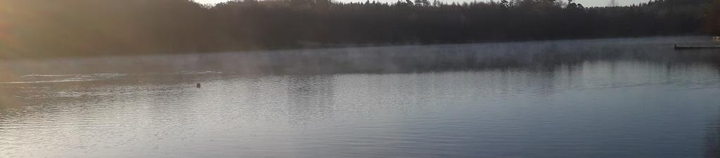 Luxury hotels in Crawley