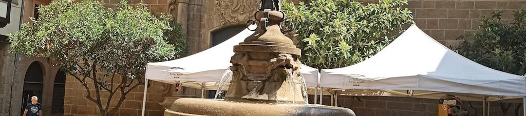 Luxury hotels in Solsona