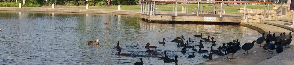 Luxury hotels in North Lakes